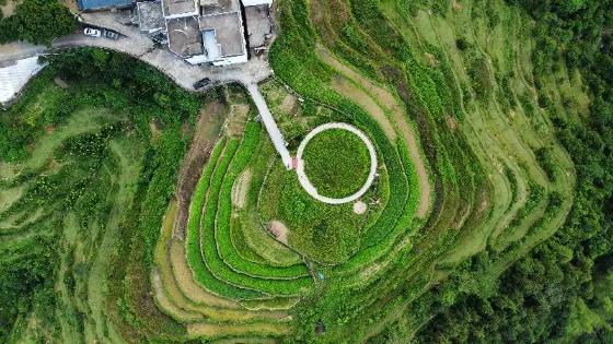 大塘梯田景點
