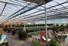 Ego's Nurseries, Ego's Garden Centre, Ego's Farm Market购物图片