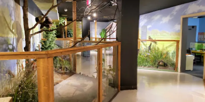 Lakeshore Museum Center