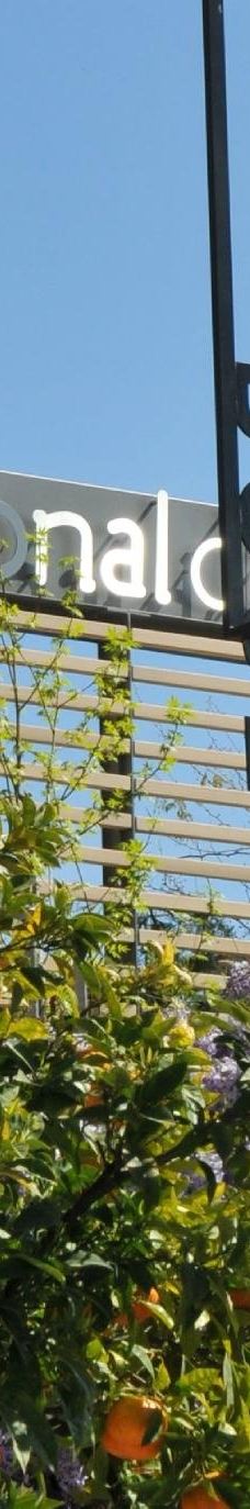 国际香水博物馆-格拉斯