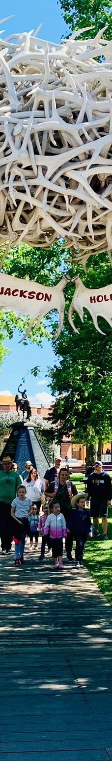 杰克逊鹿角公园-杰克逊