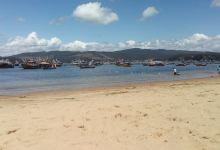 Playa Coliumo景点图片