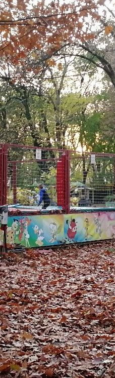 Bozdoshskiy Park-乌日霍罗德