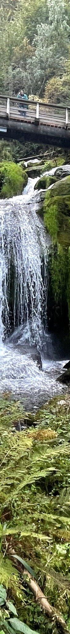 特里贝格瀑布-特里贝格