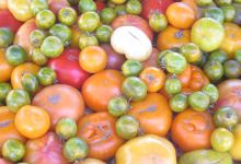 Downtown Novato Farmer's Market景点图片