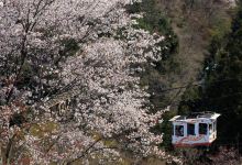 Yoshino Ropeway景点图片