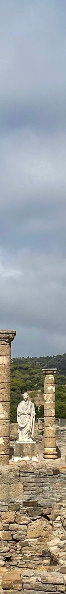 巴埃洛克劳狄亚-塔里法