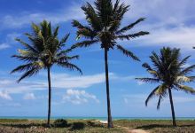 Intermares Beach景点图片
