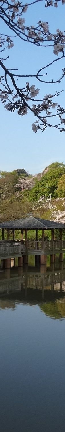 清水船越堤公園-静冈