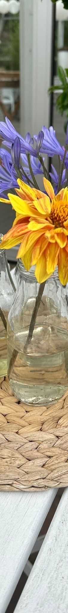 The Gardens of Appeltern-阿珀尔特伦