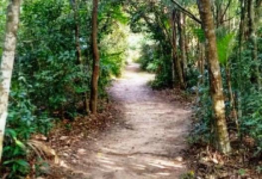 Parque Natural Municipal Raimundo Goncalez Malta景点图片