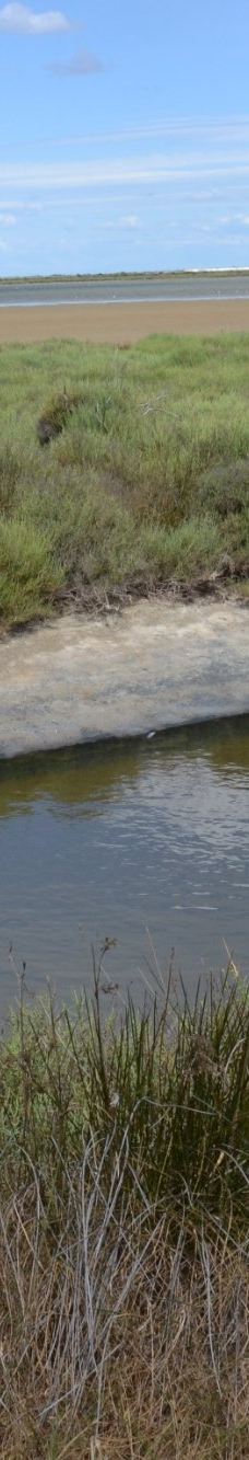 Domaine de la Palissade-阿尔勒