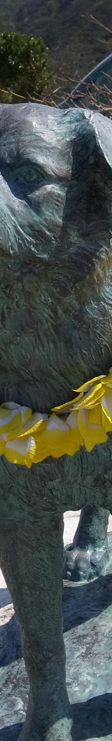 忠实的狗白 哀悼纪念碑-座间味村