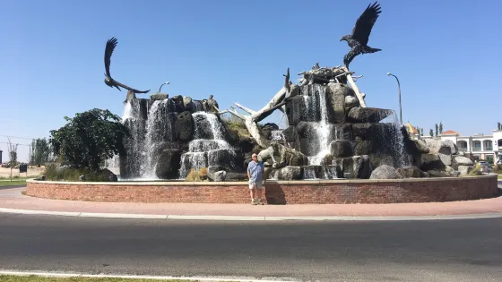 Giant Eagle Waterfall Nest