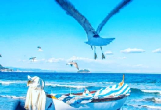 Bagni Molo Laigueglia景点图片