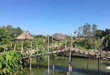 生姜观光农场景点图片