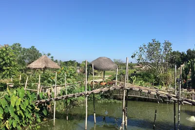 生姜观光农场