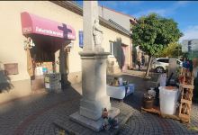 Záhradkárske potreby购物图片