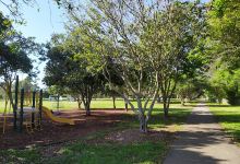 Stanley Day Park景点图片