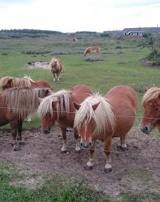 Nørlev Strand-Norlev Strand