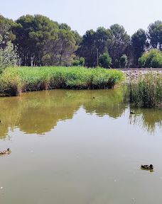 Grajera Park-洛格罗尼奥