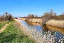 Etang de Vendres景点图片