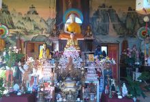 Temple Bouddhiste TU AN景点图片