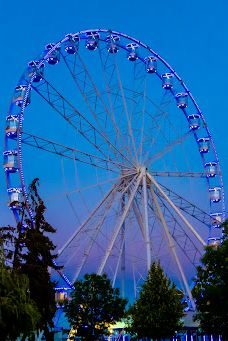 希欧福克之眼-希欧福基区