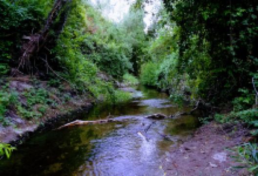 Strother Park景点图片