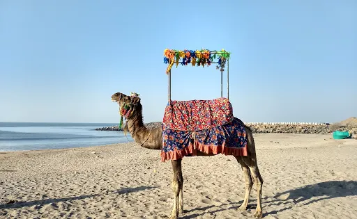 Dwarkadhish Temple