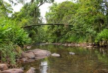 Passarela Rio Cadeia景点图片