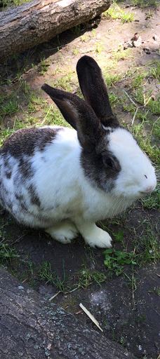 Zamárdi Adventure Park-佐马尔迪