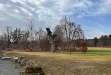 Central Park of Morris County景点图片