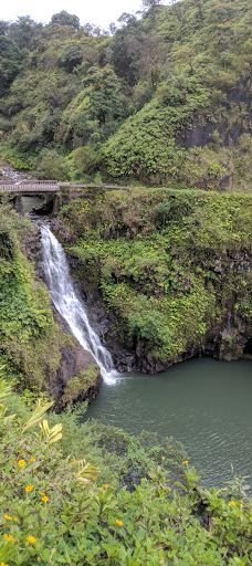 Ko'olau Forest Reserve-茂宜县