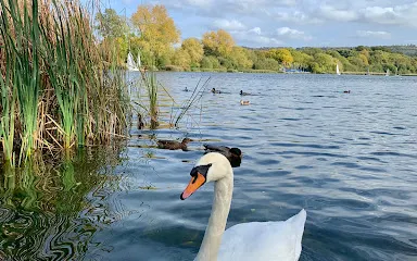 Weston Turville Reservoir