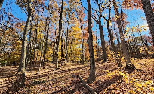 Washington Valley Park