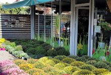 Green Garden Centar Bitola购物图片