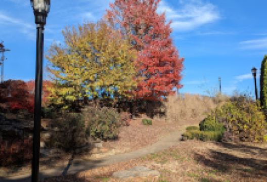 Stoneledge Park景点图片