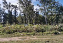 Camping Municipal景点图片