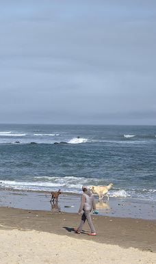 Ditch Plains Beach-蒙托克