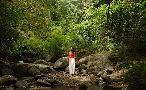 Bulalacao Falls