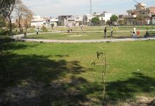 Rasheed Children Park景点图片