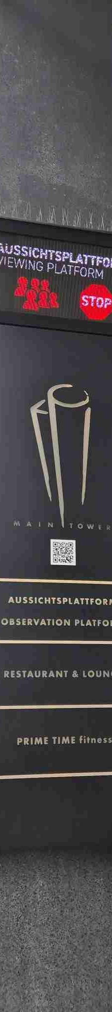 美因塔-法兰克福-飞来飞去的人啊哈哈