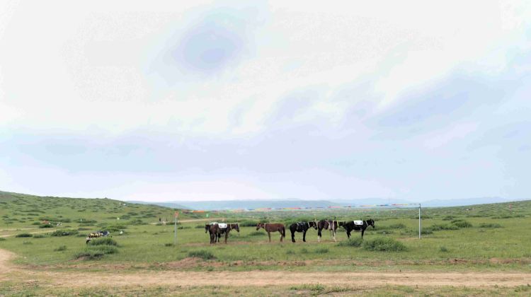 2-day 1-night · Private Tour · China + Inner Mongolia + Ulanqab + Huitengxile Grassland + Wulanhada Volcano Geopark