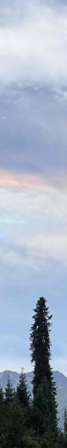 库尔德宁景区-巩留