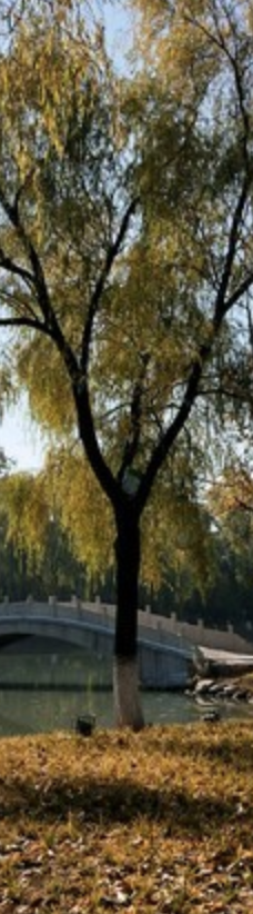 香水苑公园-北京