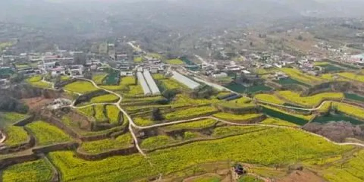 亂石坡油菜花區