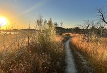 Dana Peak Mountain Bike and Equestrian Trails景点图片