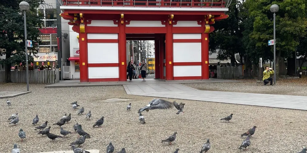 永安旅遊