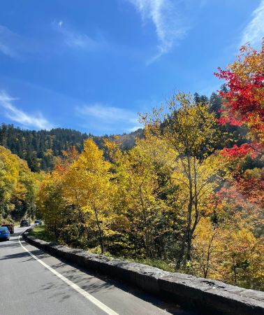 4D3N • Great Smoky Mountains National Park